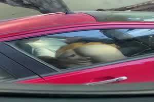 门事件 车上无意中的一瞥_卧槽!旁边小车上的情侣在干啥  背景图片