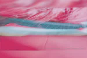 苗条熟女装少女被艹的好爽  背景图片