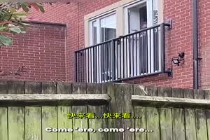 门事件 爆笑 偷情被发现 情夫逃走跟蜘蛛侠飞奔  背景图片