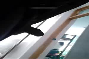 【撑死胆儿大的】露屌耍流氓碰撞异样眼神！是好奇还是鄙视？高中女寝-药房-公交车站全都不放过！专挑小女  背景图片