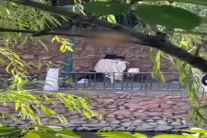 门事件 郑州 西亚斯学院 河边长板凳事件 传说中的贵族学院也一样玩的花  背景图片