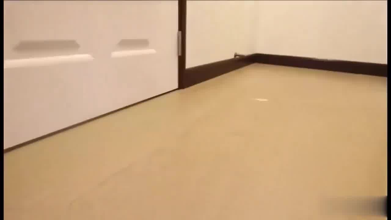  老外约炮质量不错的翘臀正妹酒店激情大战无套内射国产自拍 的剧照8